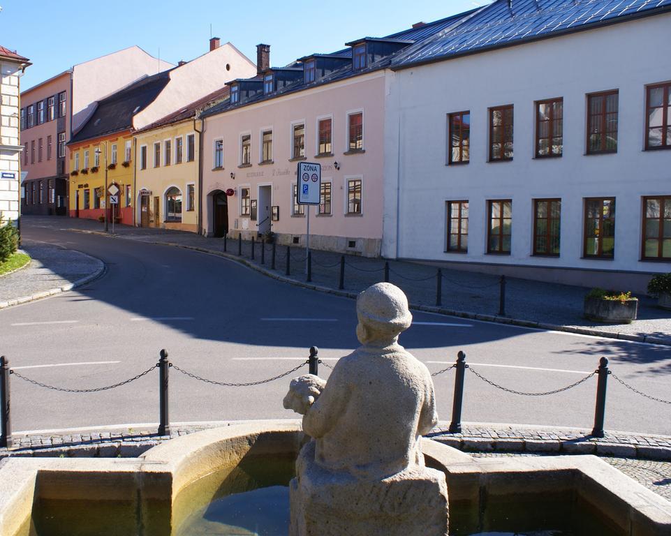 Penzion U Pasacka Nove Mesto na Morave Exteriör bild